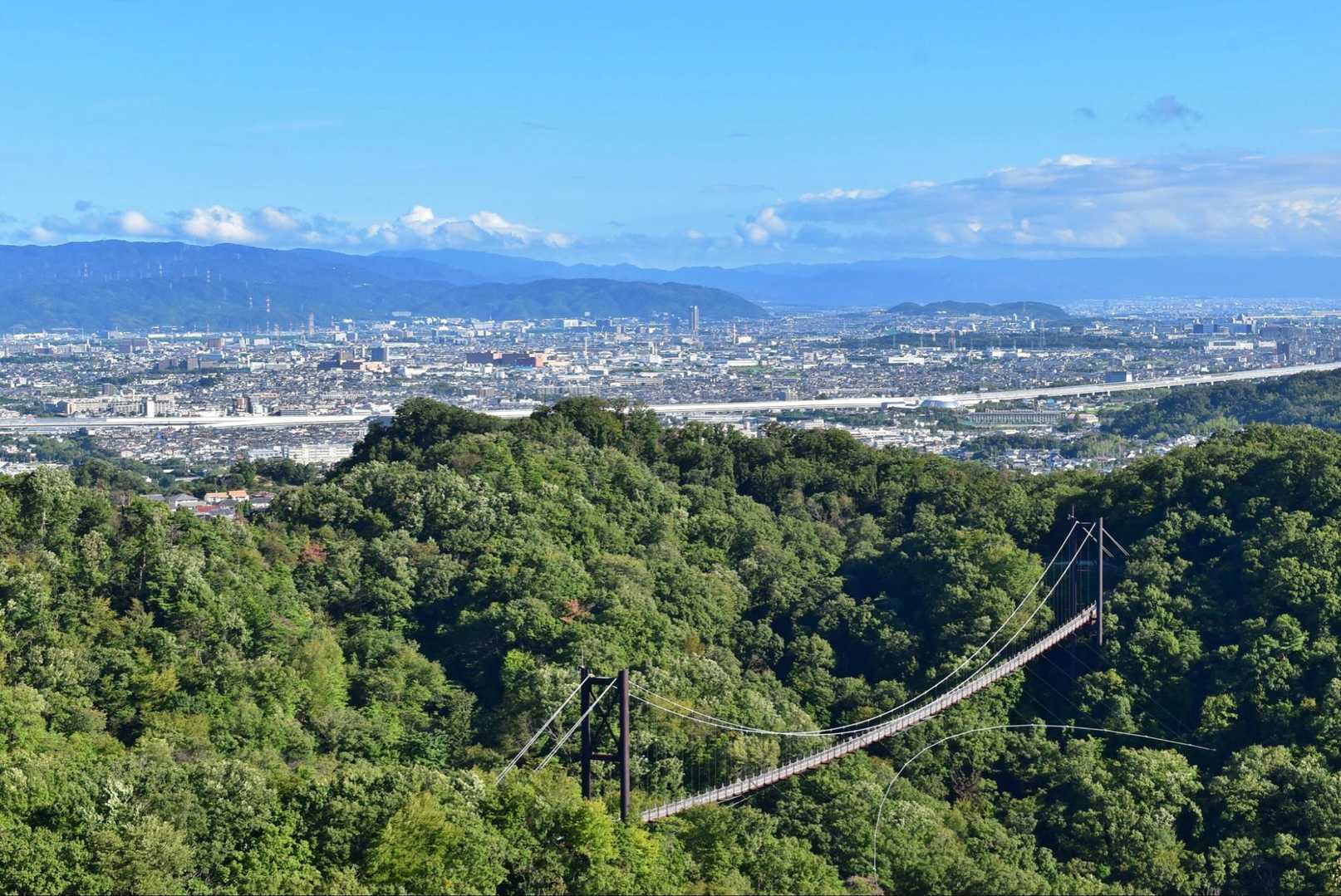 星田連山｜大阪西部の里山探訪。吊橋「星のブランコ」を渡ろう！の写真
