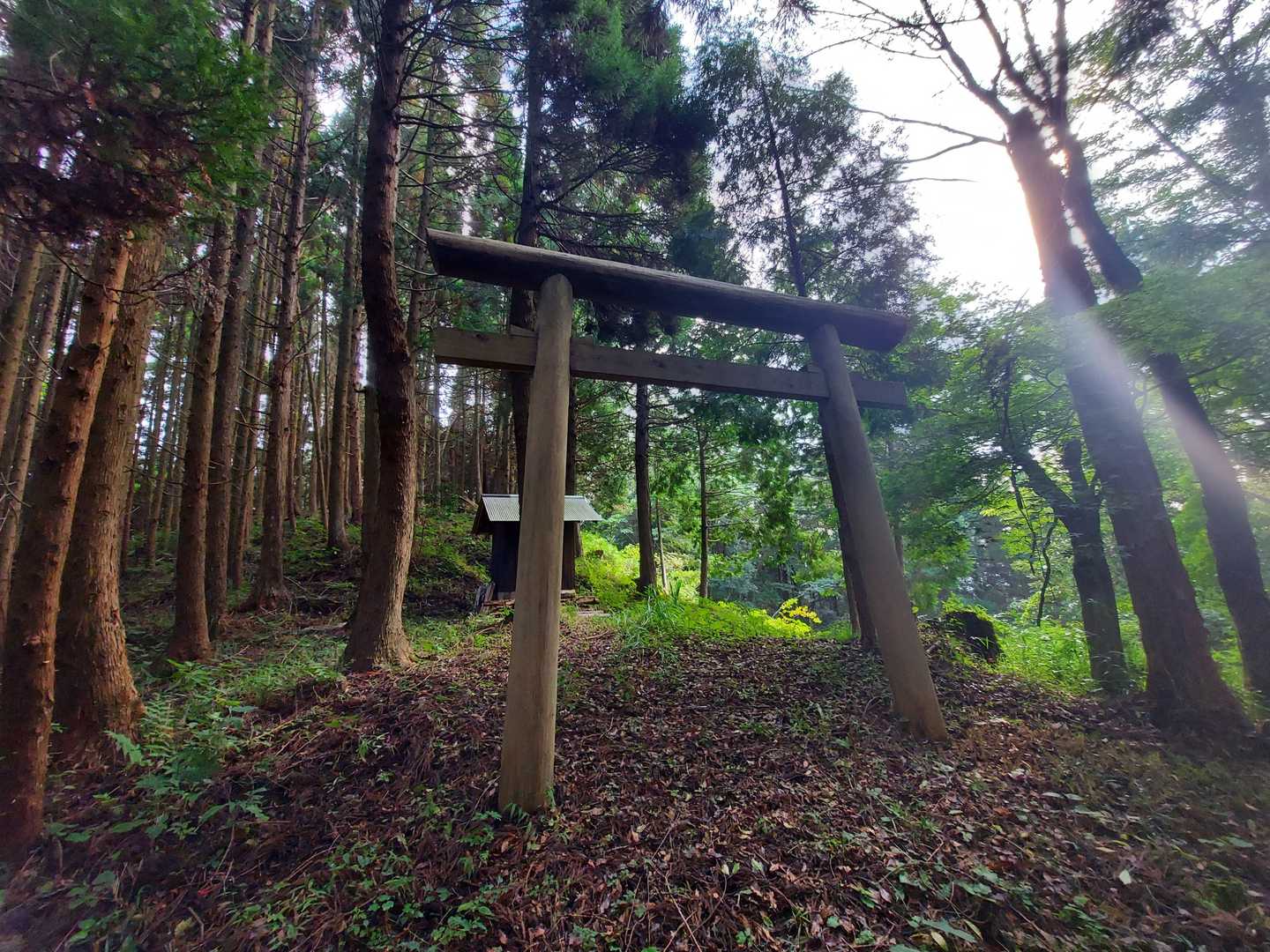 鳥居まで