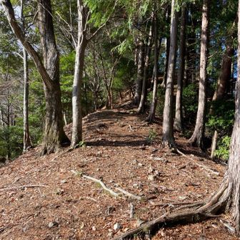 陽当たり良好☀️
テクテク(ง ˙ω˙)ว
