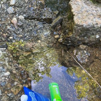 女人堂から15分程登った登山道の水場