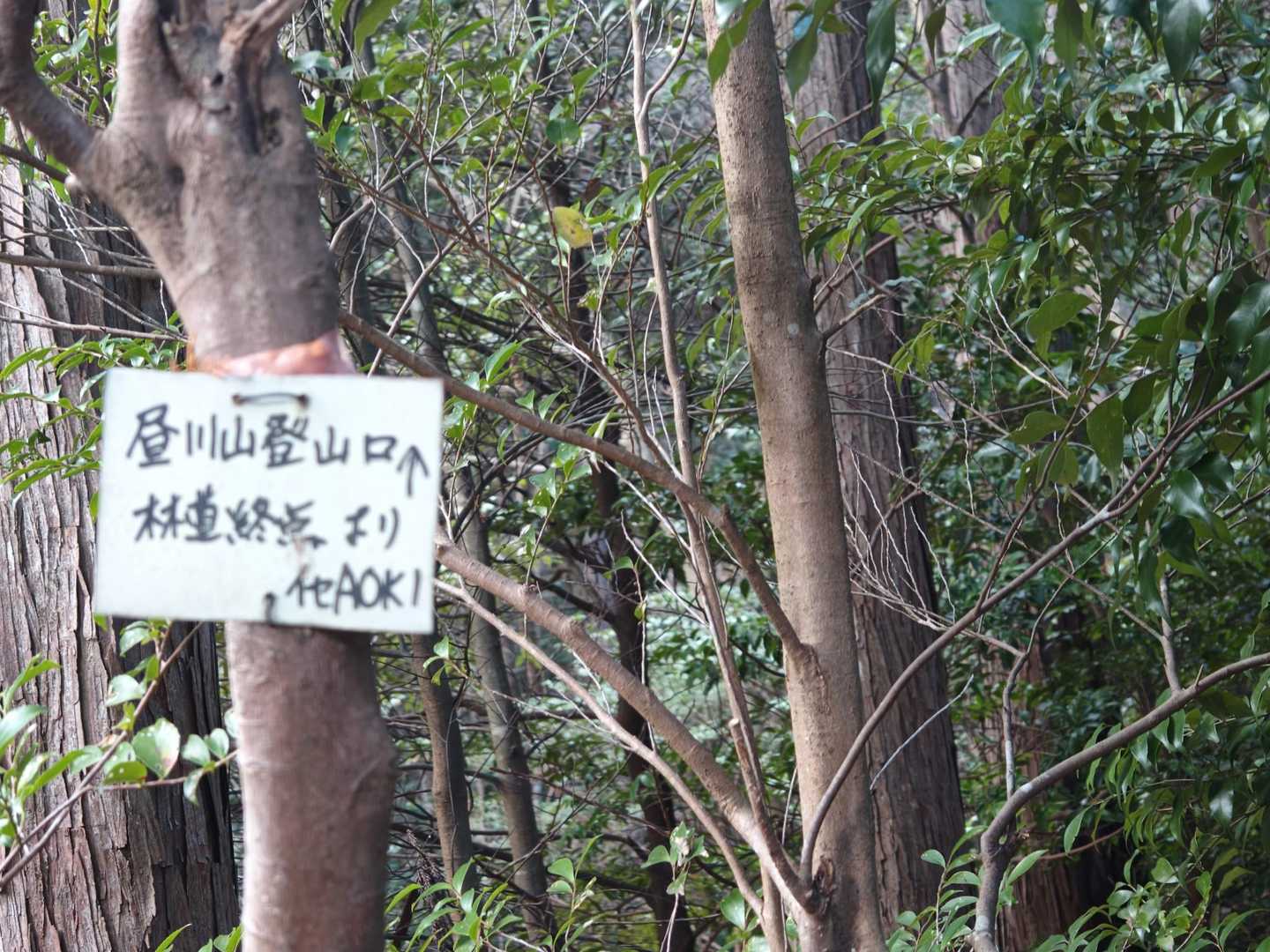 朝熊岳北谷・二瀬橋コース登山口-昼川山 往復コースの写真