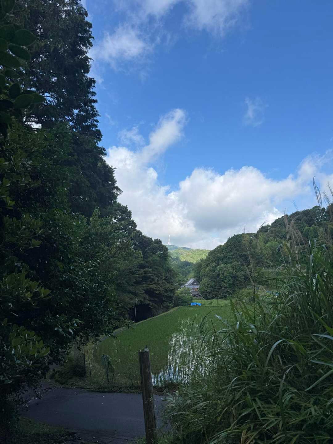 忍頂寺バス停-宝池寺-竜王山 周回コースの写真