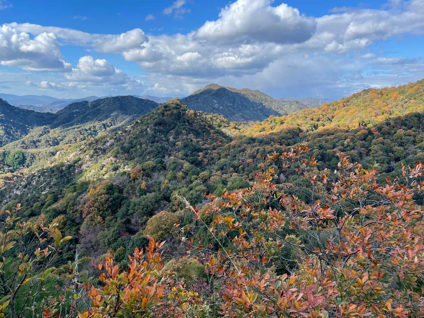 黒滝山-白滝山 周回コースの写真