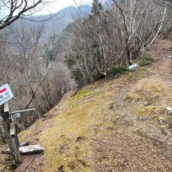 ようやく分岐点まできた