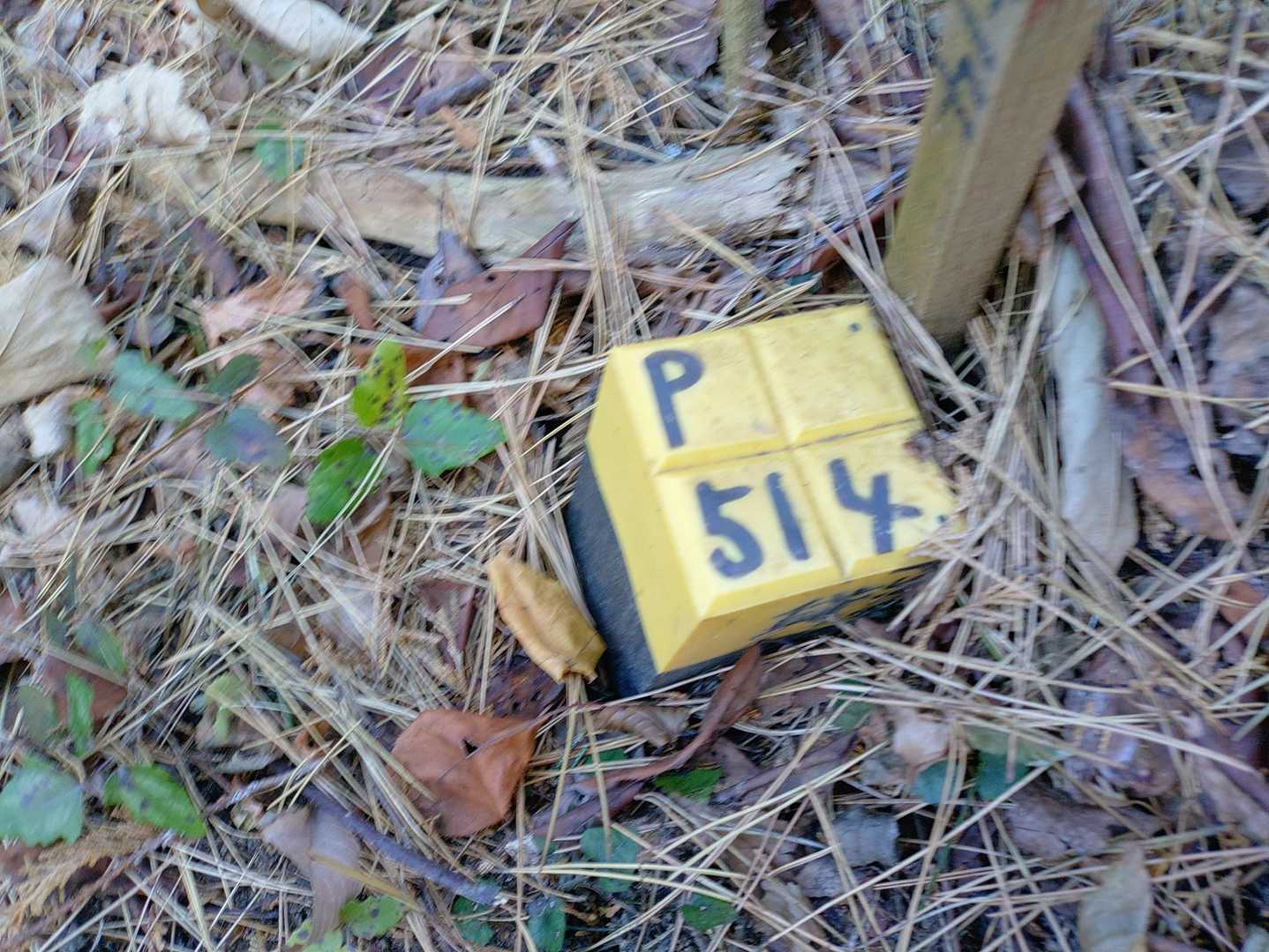 514！！！