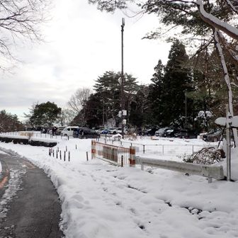何とか停められた🅿️7時台には来るべきかな