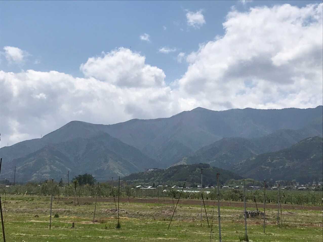 金松寺山の写真