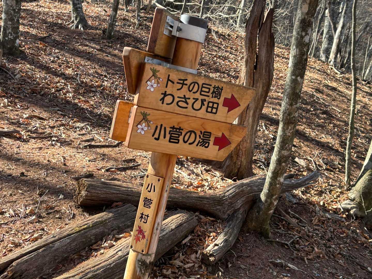 落ち葉以外は安心安全なトレイルです
落ち葉による道外れだけ気をつけましょう！
(何度か外れた私達)