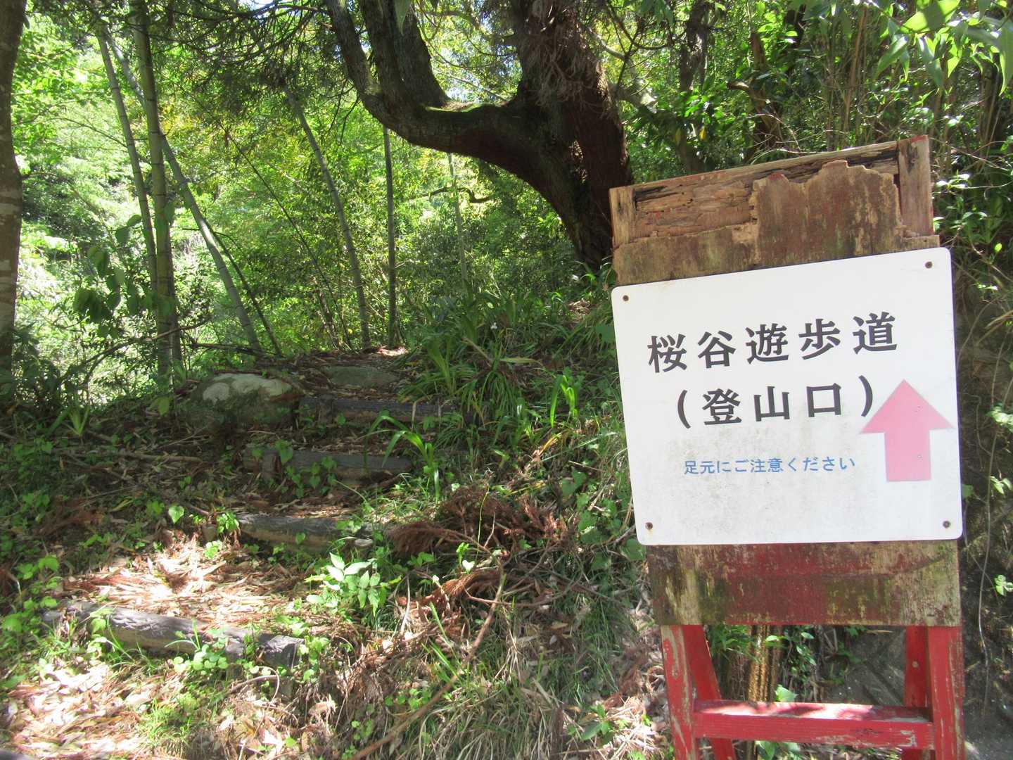 五ヶ山-九千部山 往復コースの写真