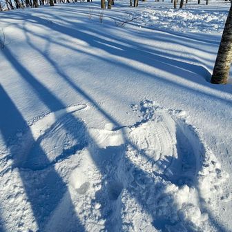 スノーエンジェルを作ってみたが、何か変🤔？これはデビルマンだ🤭
