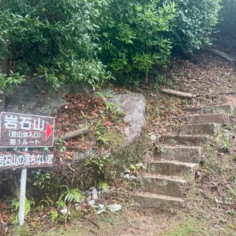 ここからちょっと急登💦