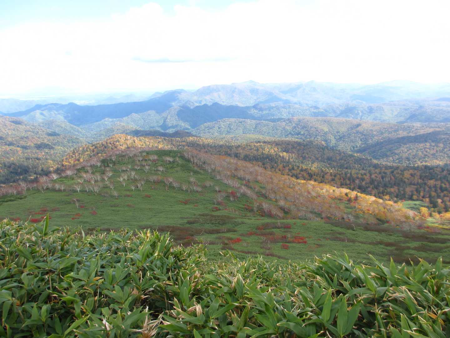 無意根山 往復コースの写真