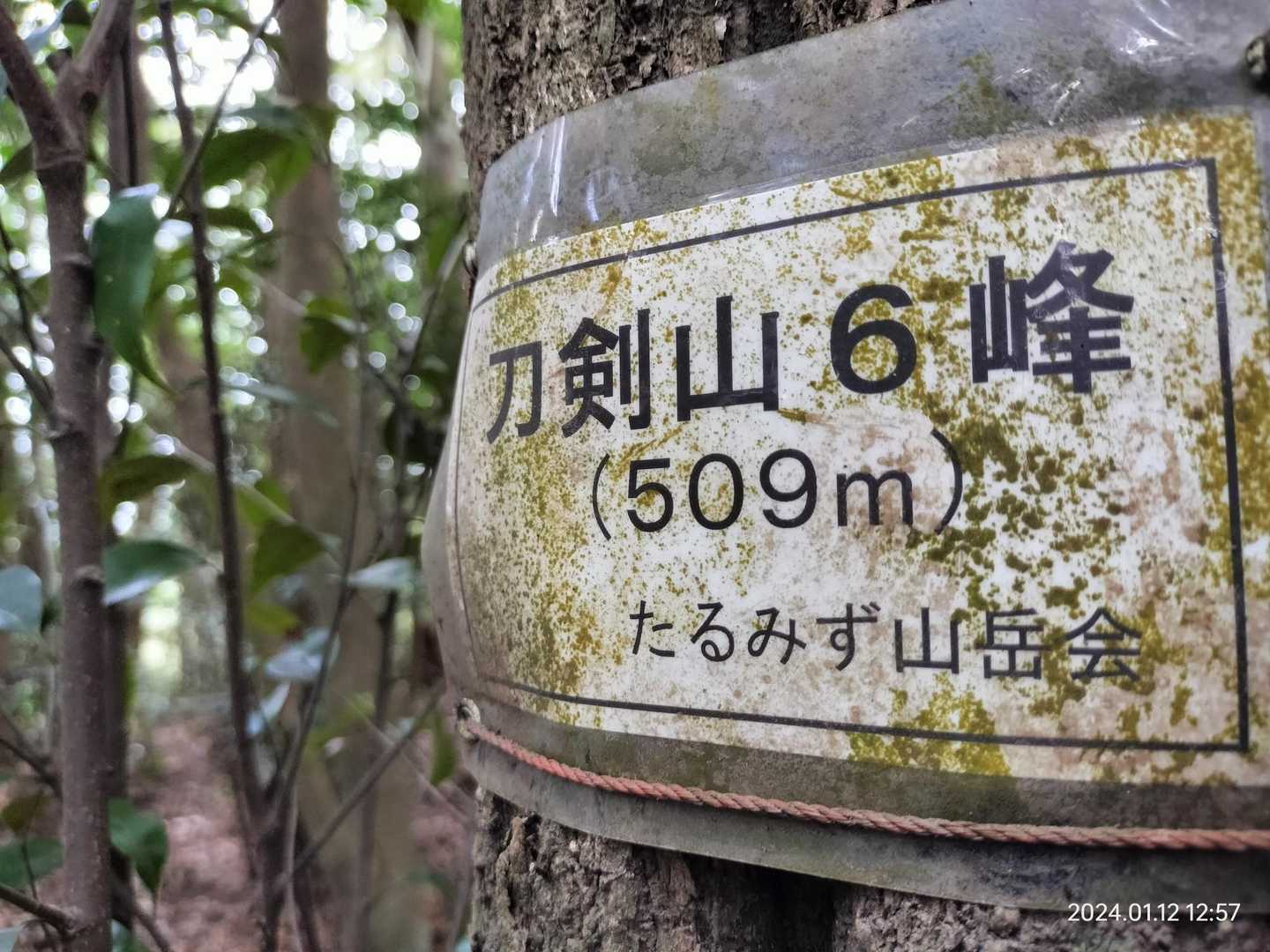 509!
双石山と一緒　200座目ゲット