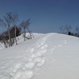 大倉山山頂は眺望良好です。