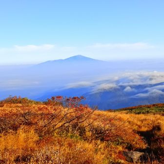 登り始めてすぐの弥陀ケ原湿原からの鳥海山