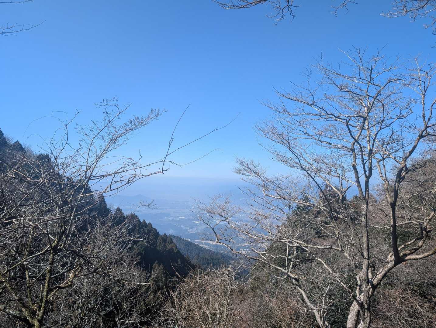 たまにひらける😄