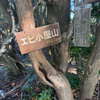 この前後は奥多摩らしい急登。