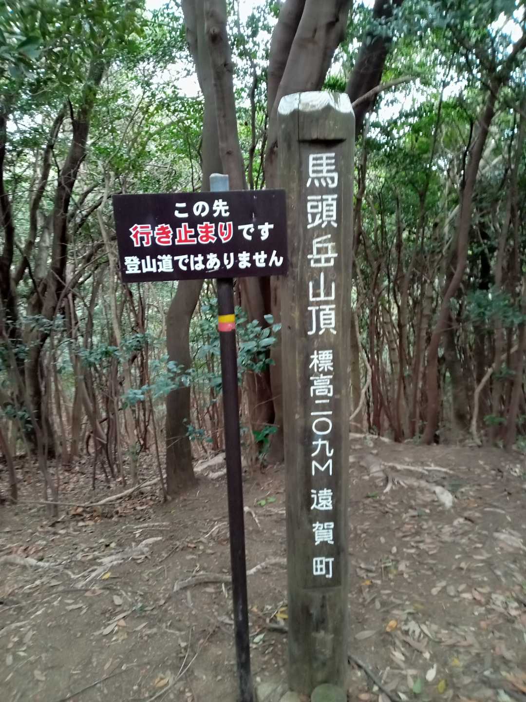 馬頭岳の写真