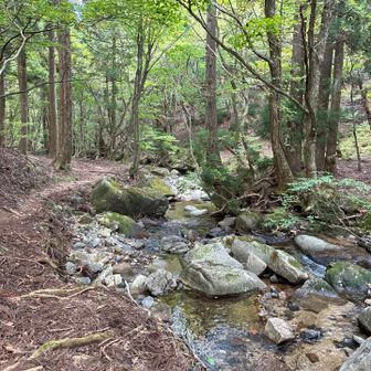 沢沿いのルート