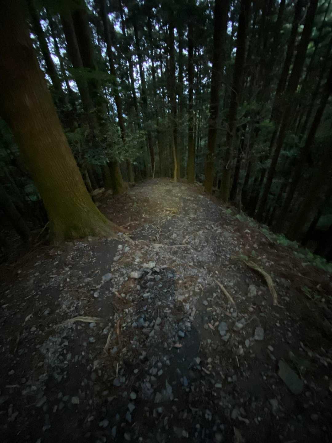 一気に暗くなったので、ヘッデン着けて下山しました💡