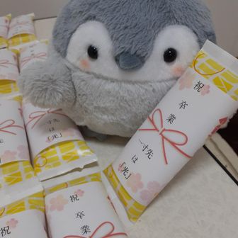 Chikako Mokyu