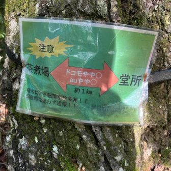茶煮場→堂所までの区間は電波が通じたらしい。先に書いてほしかった。。。