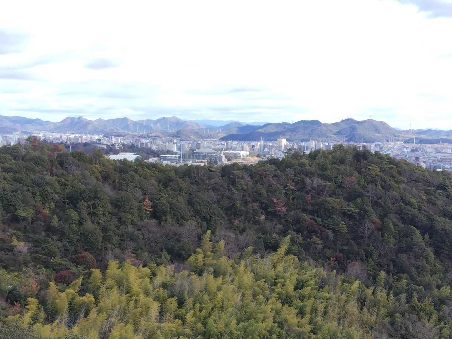 苫編山 往復コースの写真
