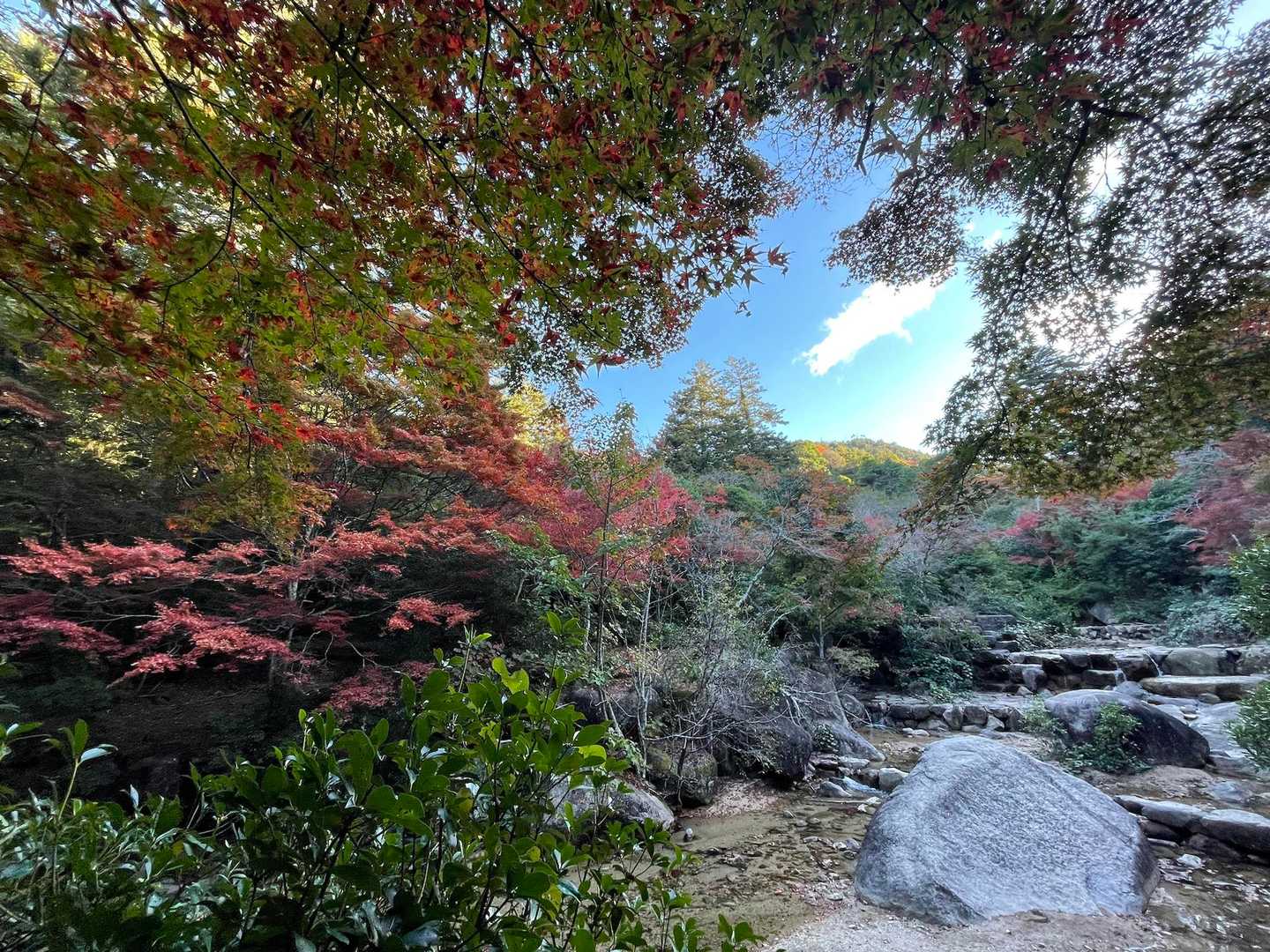 弥山登山道入口-紅葉谷橋-弥山-駒ヶ林-弥山登山道入口　- 周回コースの写真