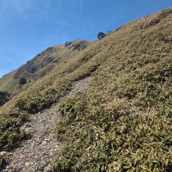 そして尾根を‥
あとは↑130ほどで次郎笈！