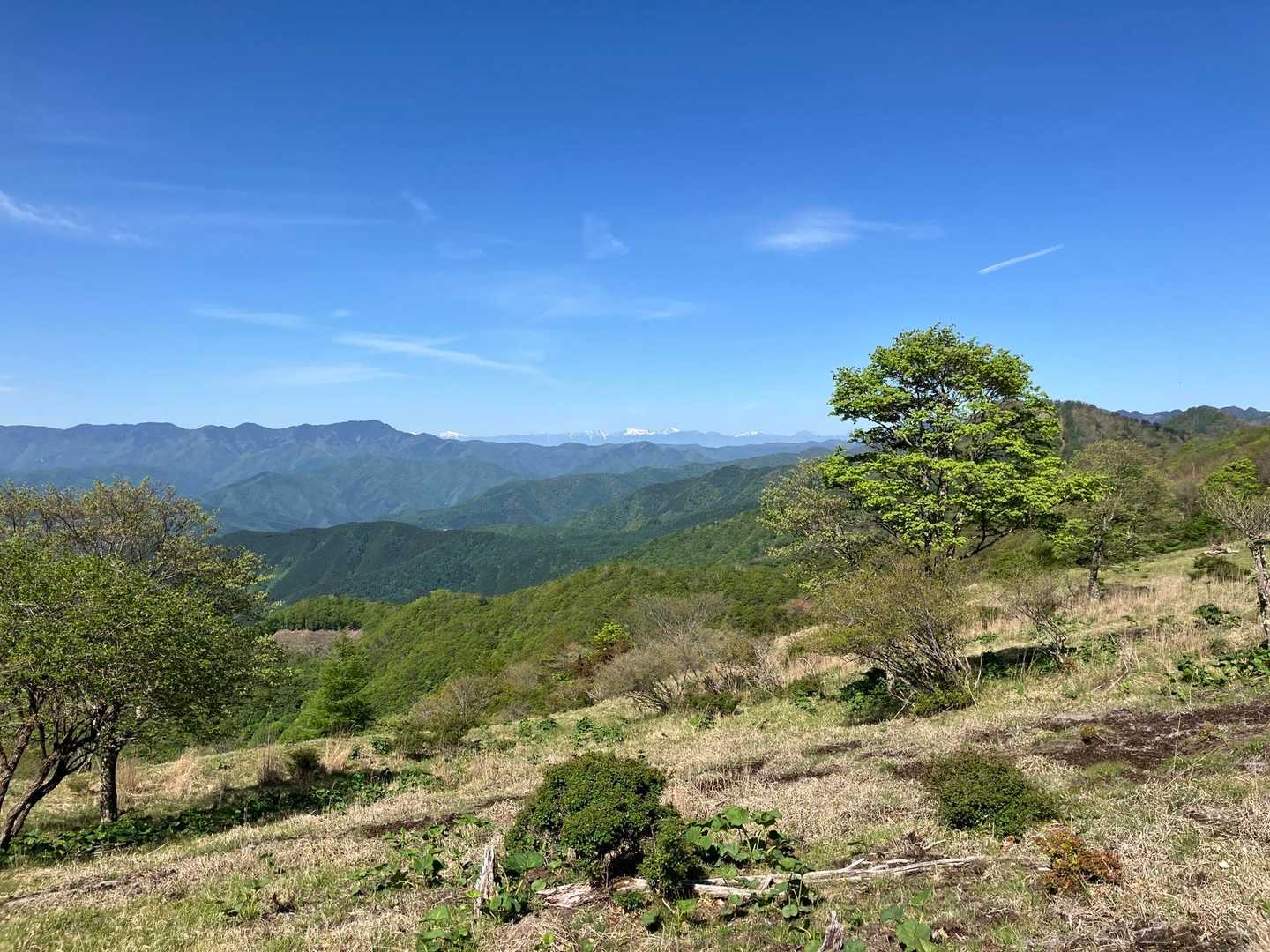 鷹ノ巣山 往復コースの写真