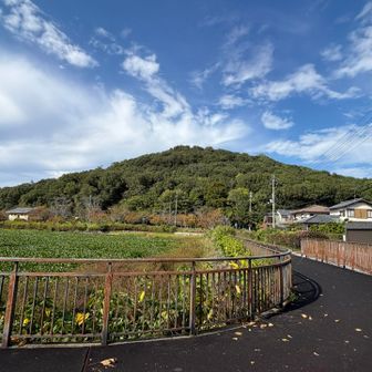 耳成山へ向かいます