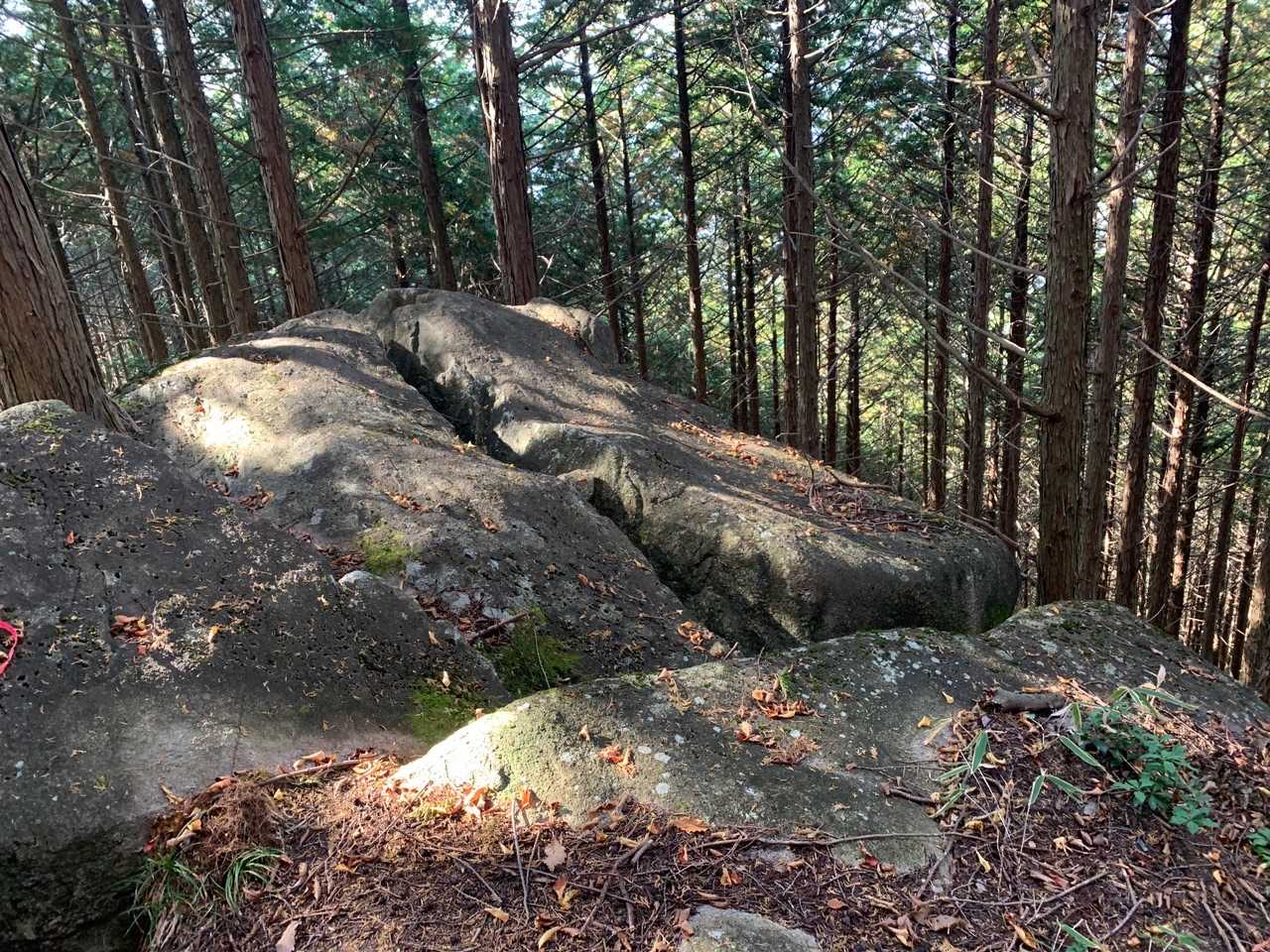この山で昔、雨乞いや陽乞いの儀式が行われたそうです。この岩の上で行われたのでしょうか。
