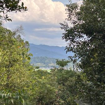 眺望はほとんどなし。

お疲れ山⛰️
