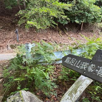 第一のポイントに到着｡ここでも小休憩(^.^)ここからは左方向の補装道を進んでみることに｡
