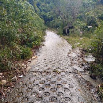想定内の、道路が川です。