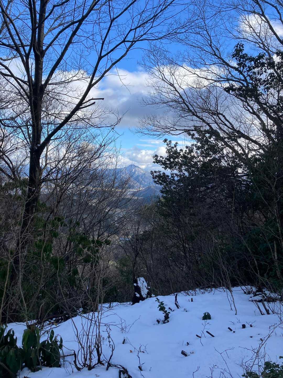 あれは。。。