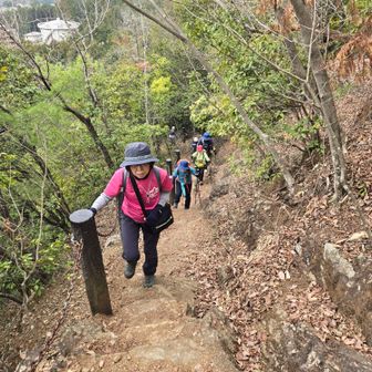 傾斜がきつくなってきました。