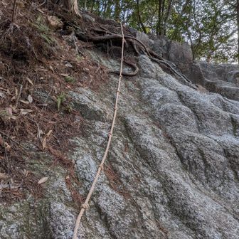 早速今日初めてのロープ場が出てきました。