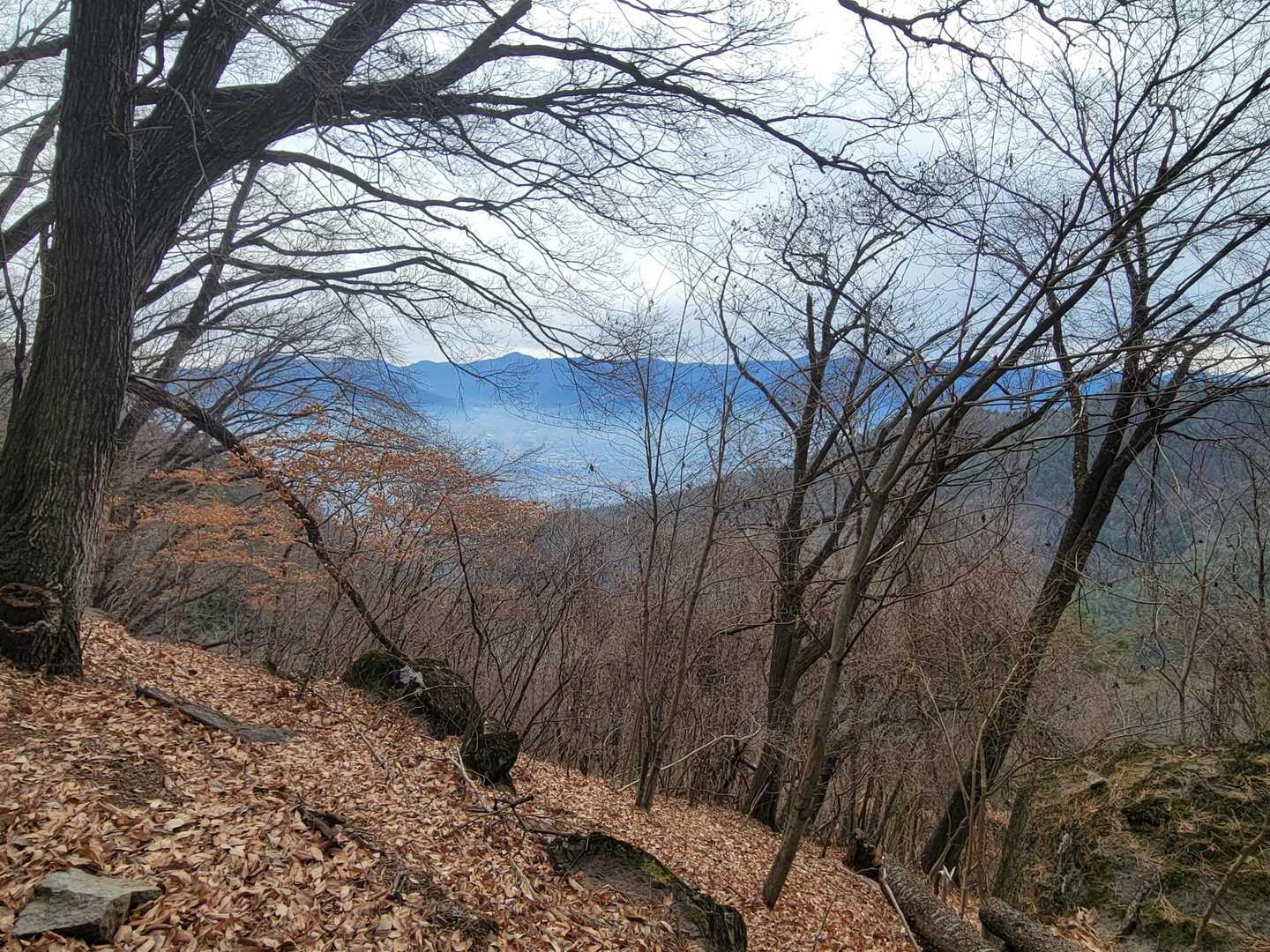 綺麗