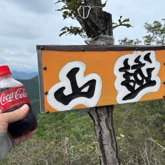 ここで恒例の冷やしたコーラの一気飲みです
炭酸が爽快でやはりコーラはウメ〜👍