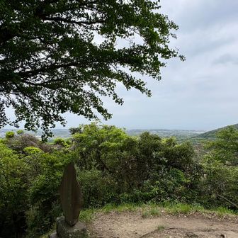 本当はここから富士山が見えるようですが
...ですね