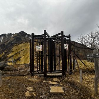 デパートのやつだ！！！！！🤩