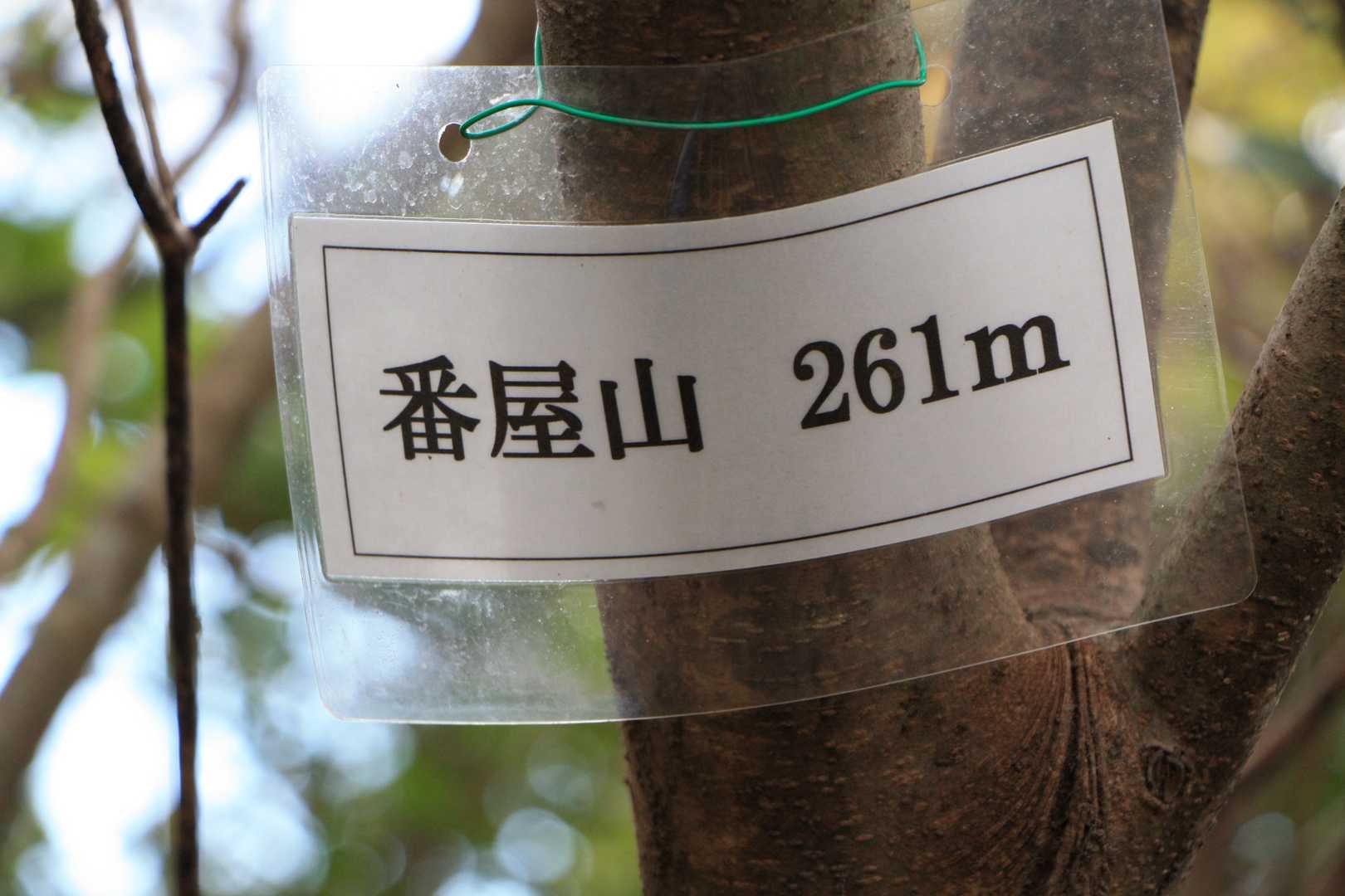 山表示