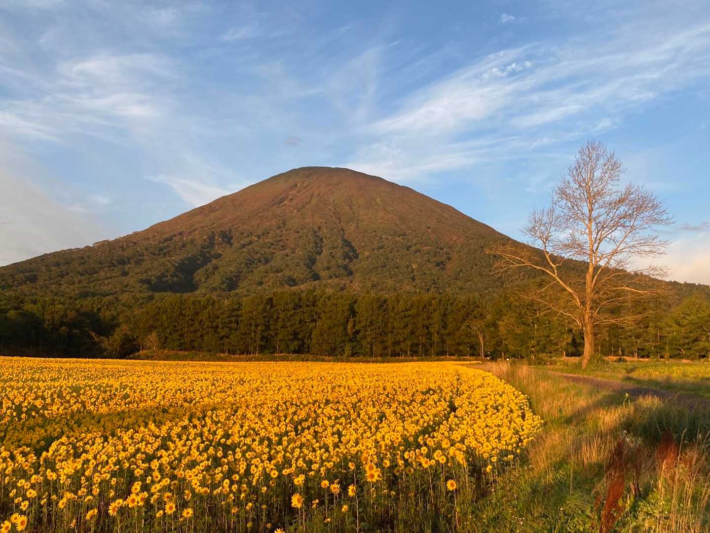 京極登山口-羊蹄山 往復コースの写真