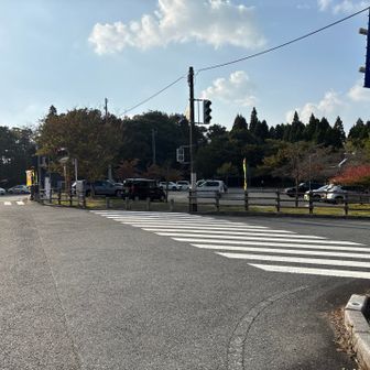 やっと帰り着いた〜😅