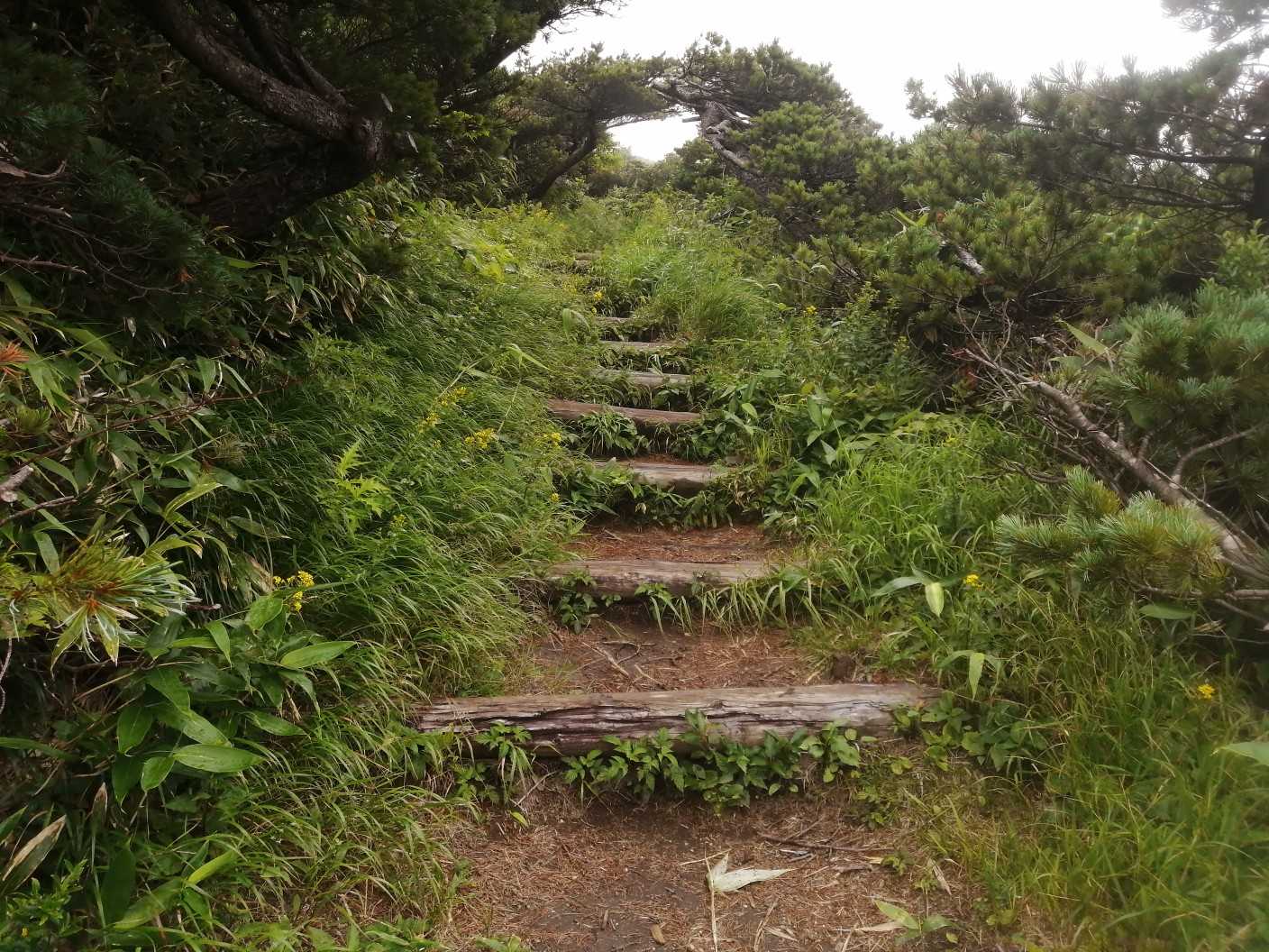 まずは三宝荒神山へ。
前回と逆周り、分岐を右に行ってみます。