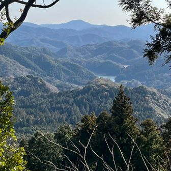 長沢池の奥に大藏ヶ岳