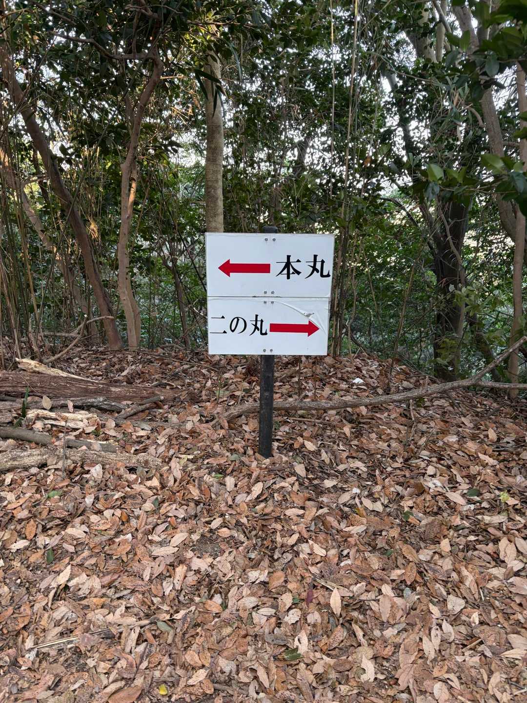 馬ヶ岳登り口-馬ヶ岳 往復コースの写真