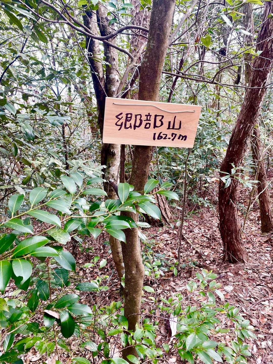 郷部山162.7m山頂！