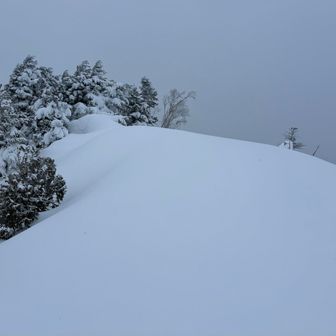 籾糠山登頂🏔️
東側（北ア方面）の眺めが最高✨(心の目で)

「東海の百山」らしい